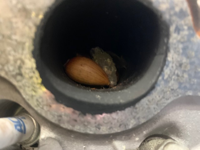 Mouse Motors